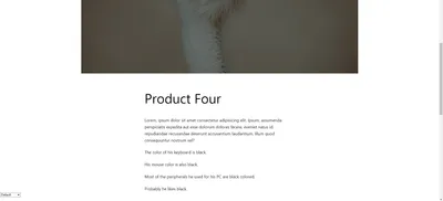 WordPress Translation Plugin - Frontend Display - Before