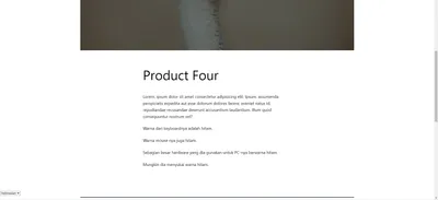 WordPress Translation Plugin - Frontend Display - After
